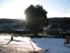 Home...Castlewellan